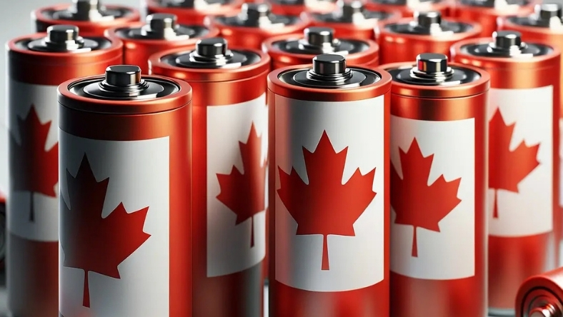 Rows of lithium batteries with Canada flag motif